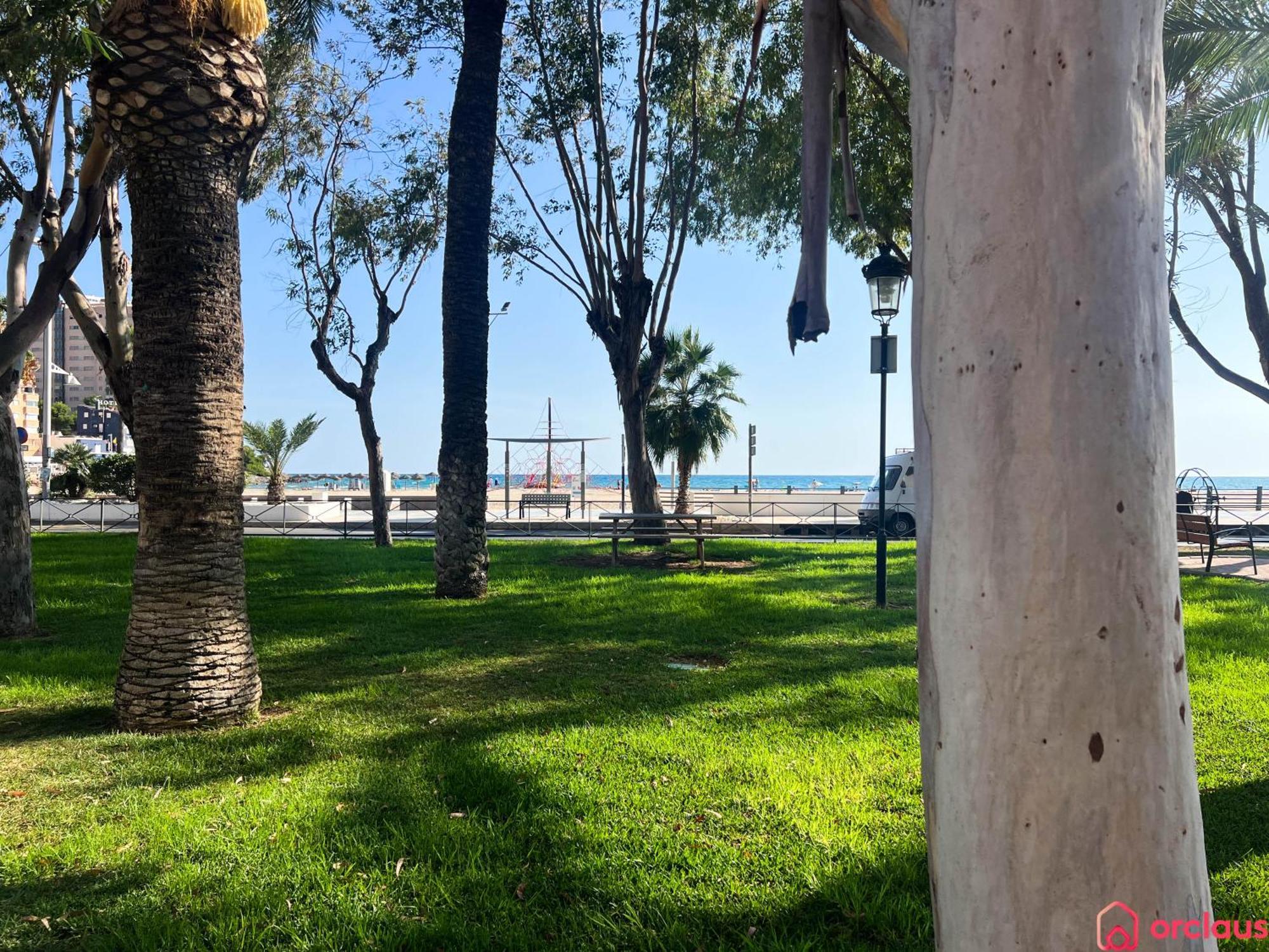 El Paraiso En Playa Concha أوروبيسا ذيل مار المظهر الخارجي الصورة
