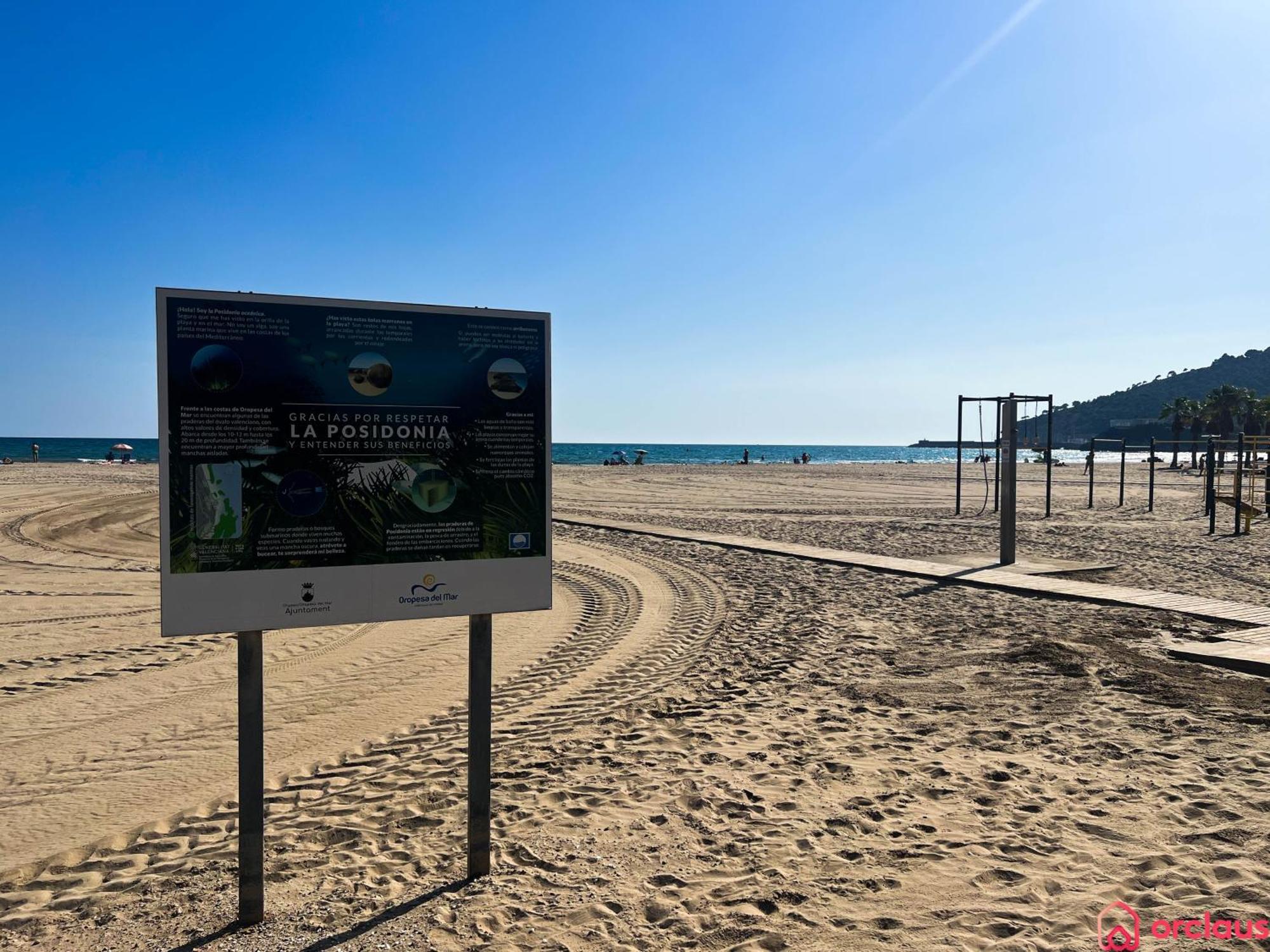 El Paraiso En Playa Concha أوروبيسا ذيل مار المظهر الخارجي الصورة